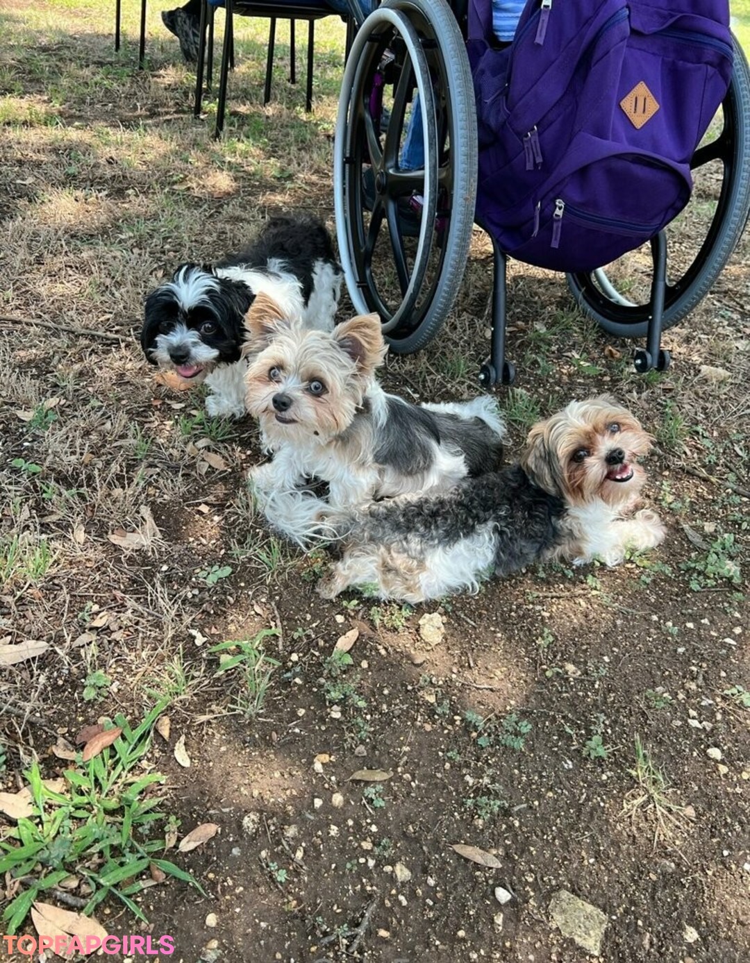 mary a b hd star image