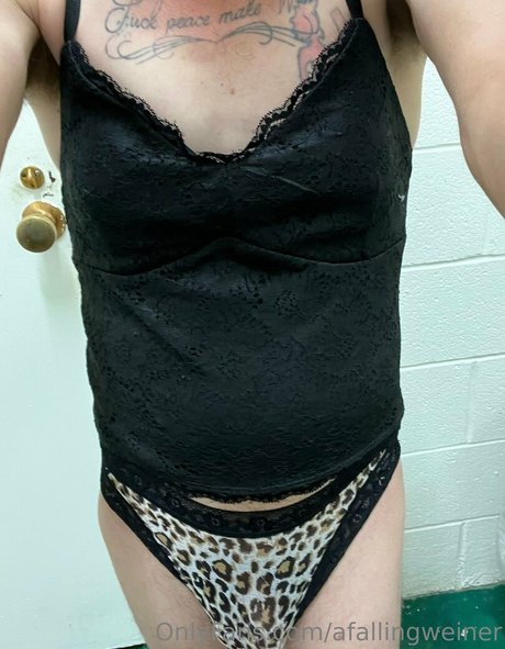 afallingweiner art star pictures