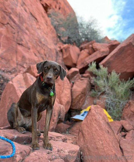 emo onlyfans free sex images