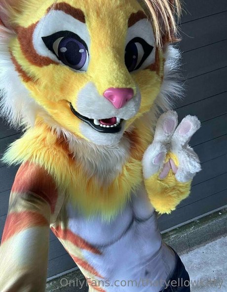 thatyellowkitty hd model images