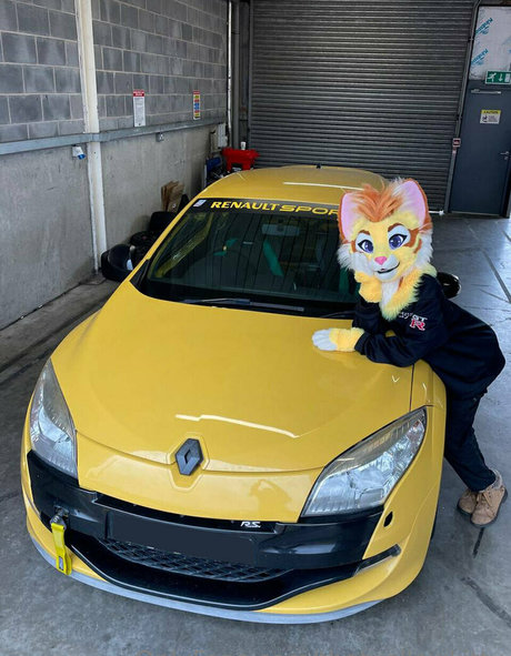 thatyellowkitty exclusive star galleries