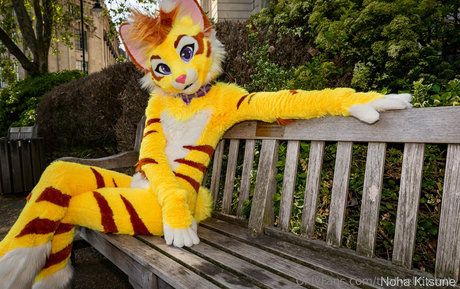 thatyellowkitty star top archive