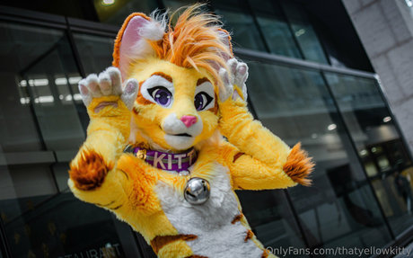 thatyellowkitty perfect pornstar picture