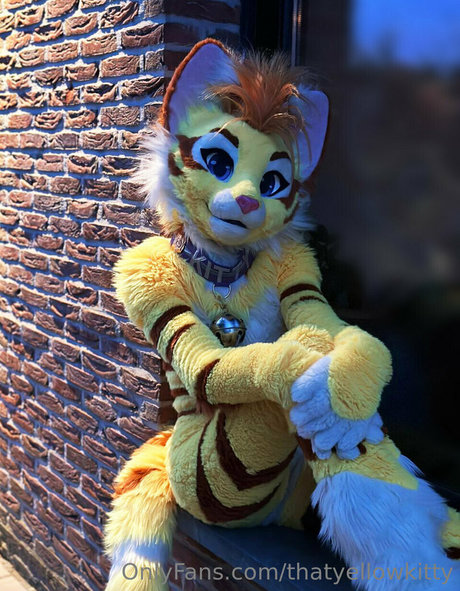 thatyellowkitty nice pornstar photos