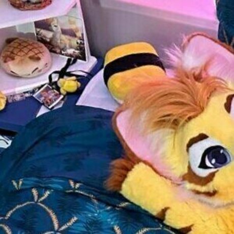 thatyellowkitty star nice img