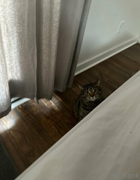 trans free onlyfans free sex galleries