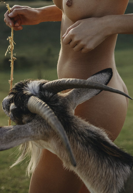 blowbang onlyfans art naked photos