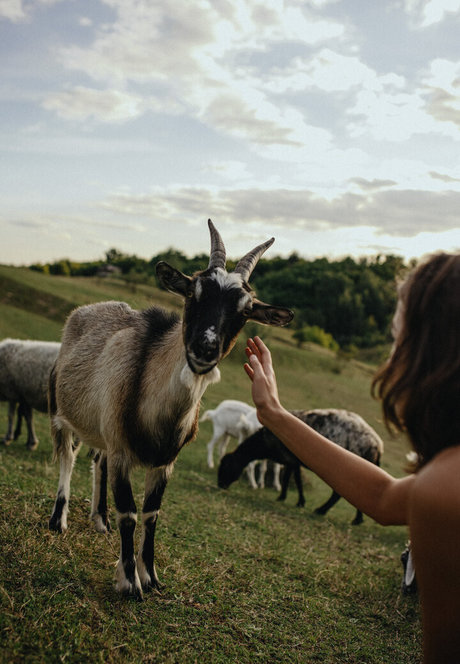 Julia Slip star perfect pics