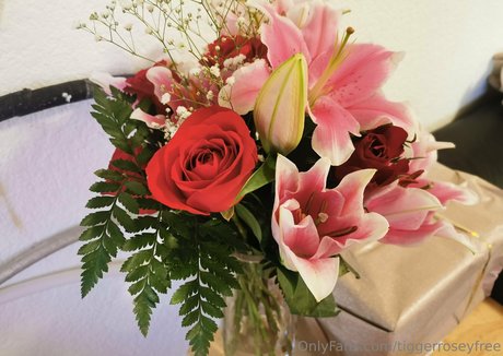 tiggerroseyfree perfect model image