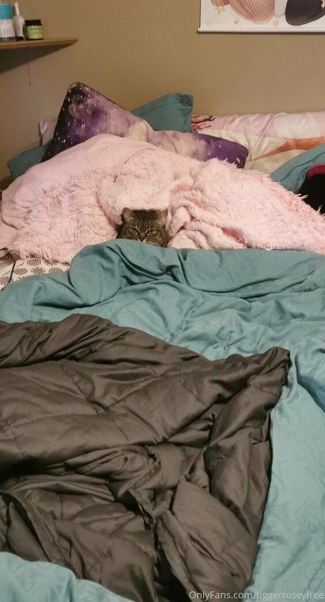 tiggerroseyfree high quality pornstar gallery