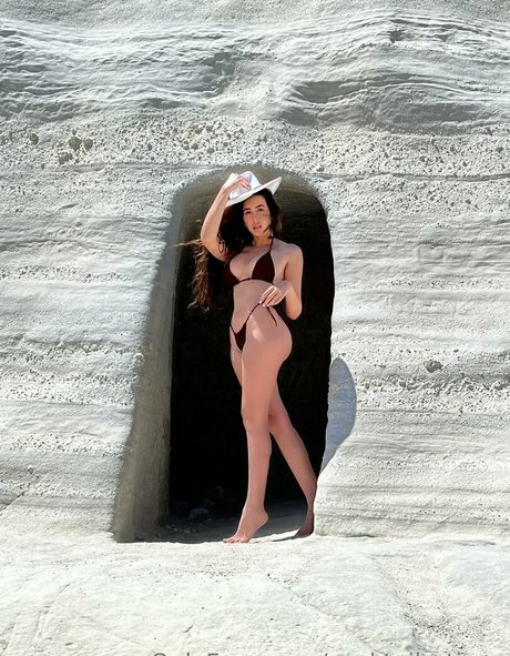 torgalore star pretty image