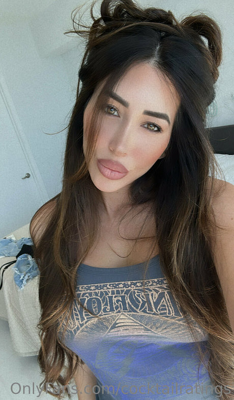 torgalore best model gallery