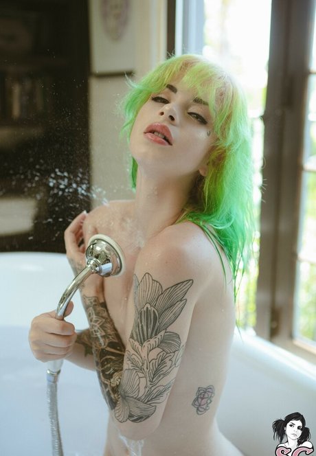 Kuroha model perfect archive