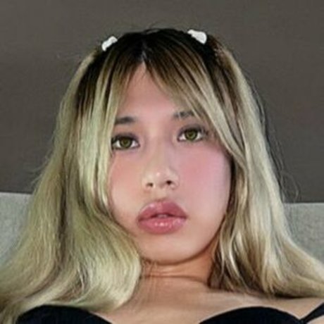 Amber Rougue star free img