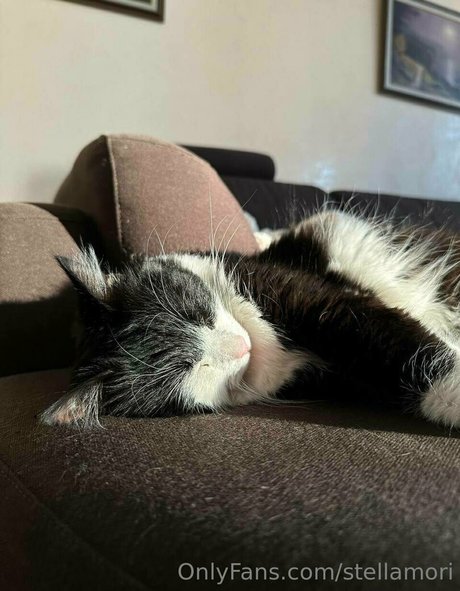 nude selfie onlyfans pornos pictures