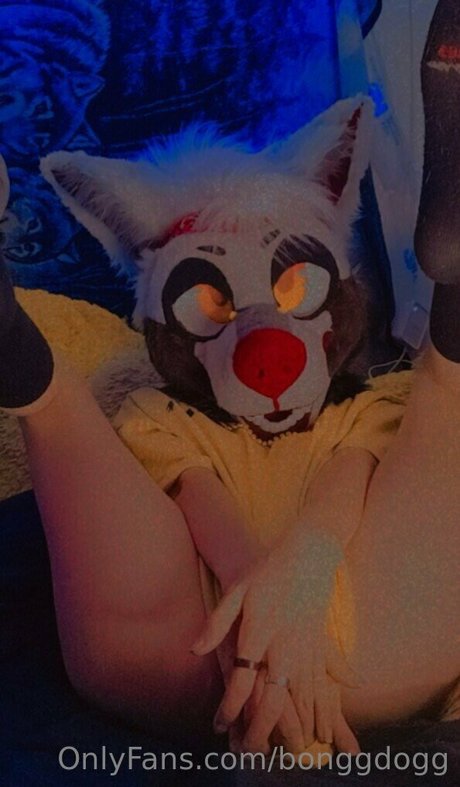 Bonggdogg model perfect archive