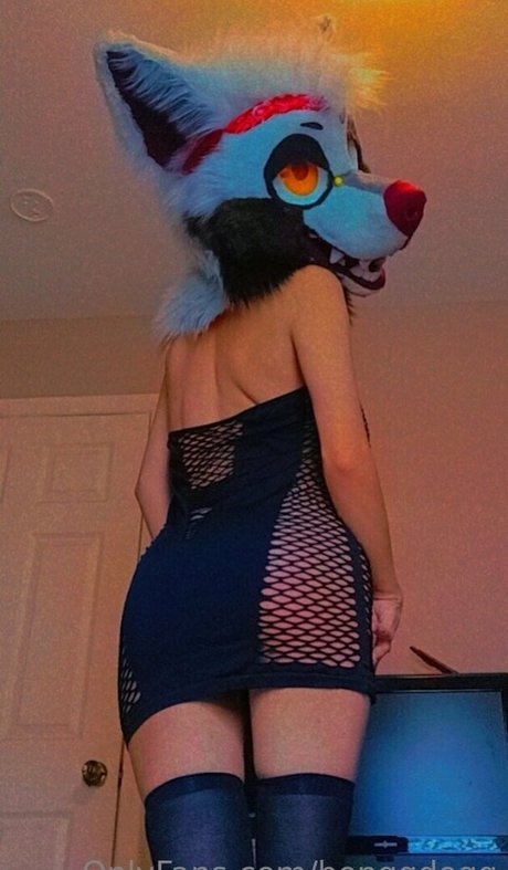 Bonggdogg star hot gallery