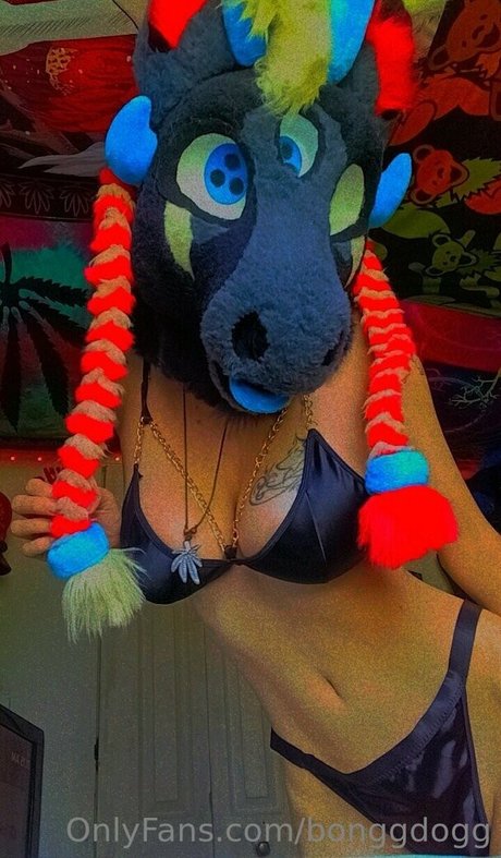 Bonggdogg beautiful actress images