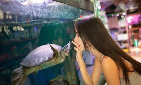 stars onlyfans exclusive pictures