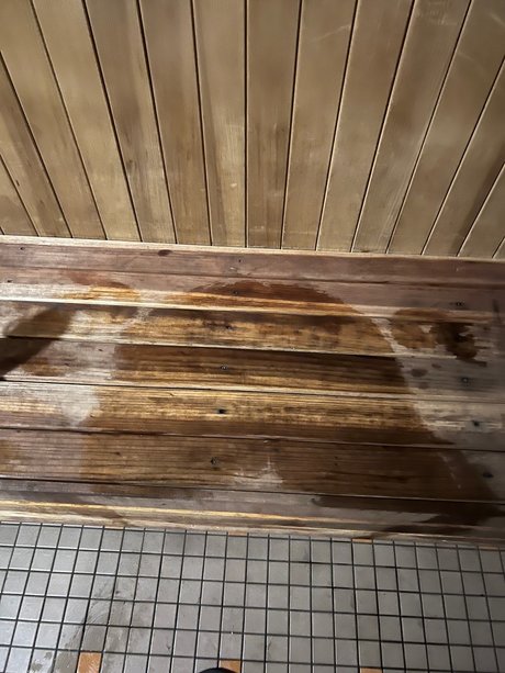 CZA art actress archive