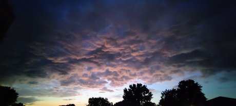 Felicia G nudes model images