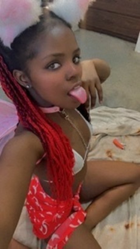 Princess kitten model top pictures