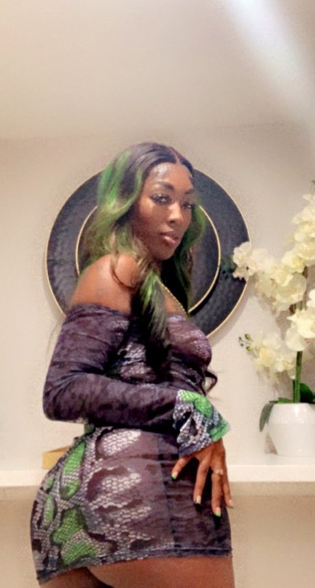 Chocolate Princess art model image