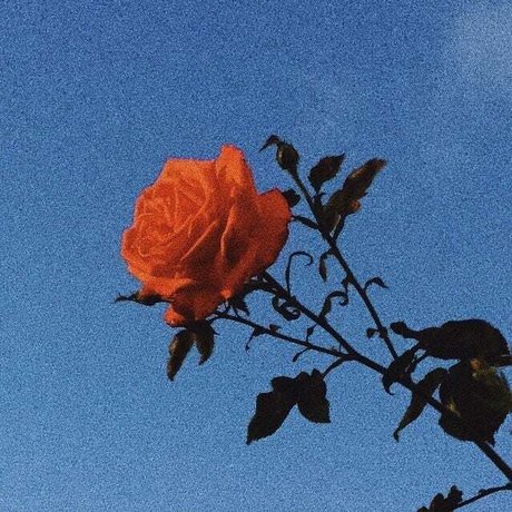 Princess Bitchass hot model img