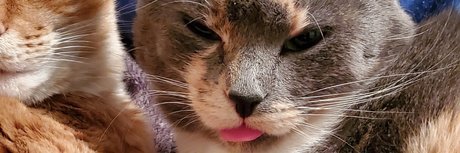 ebony onlyfans free nude pictures