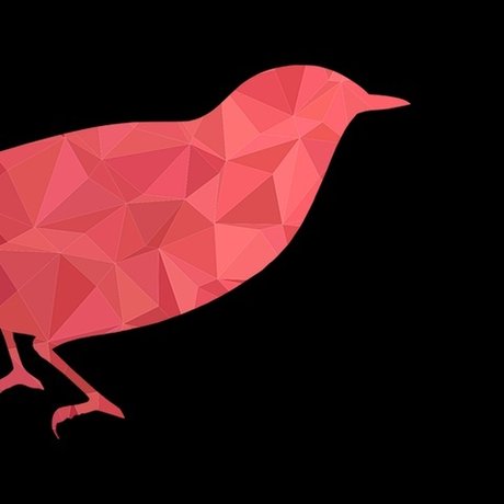 Corbeau Rouge free model pics