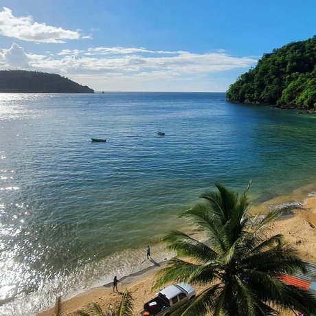 That Crypto Fella exclusive pornstar images