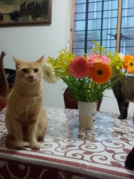 face onlyfans xxx archive