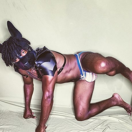 GRIZZLY best model archive