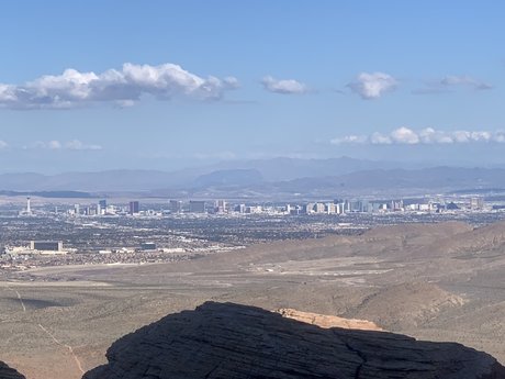 Pup Arlo star xxx pics