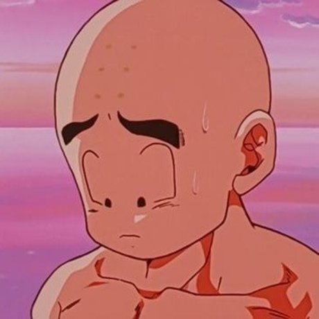 Principe del vino star high quality photo