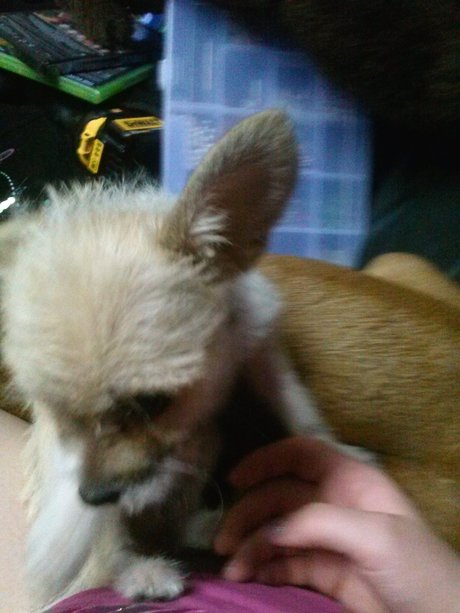 _Miss M rder_ pornstar hd pics