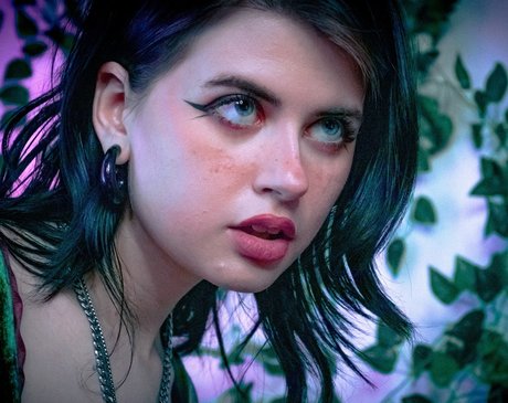 Dax nice star pictures