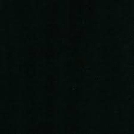 garbage pornstar adult pics