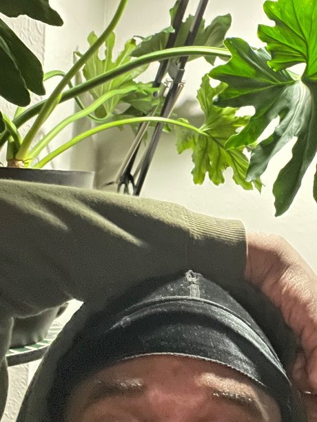 MisterxxSnicker model adult picture