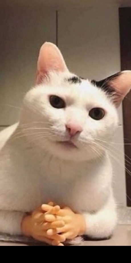 Valenz model erotic pics