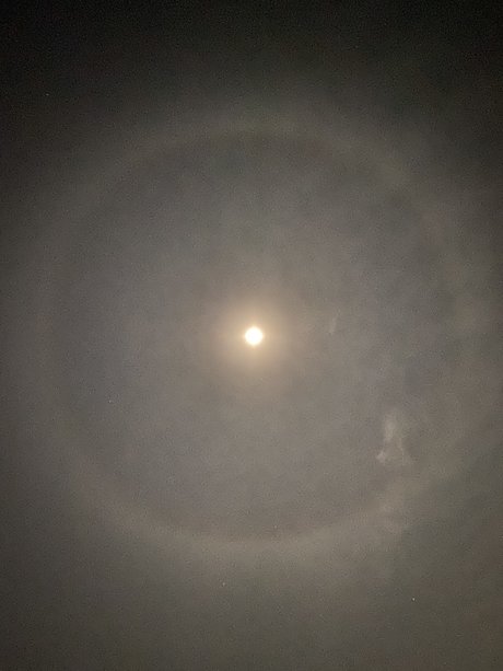 Valenz sex model img