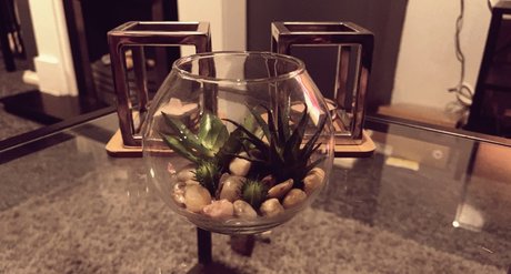 Queen Rhiannon sex actress images