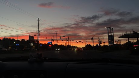 eris model pornographic pic