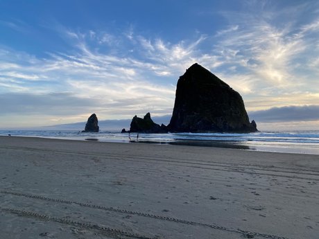 Reese W exclusive actress pics