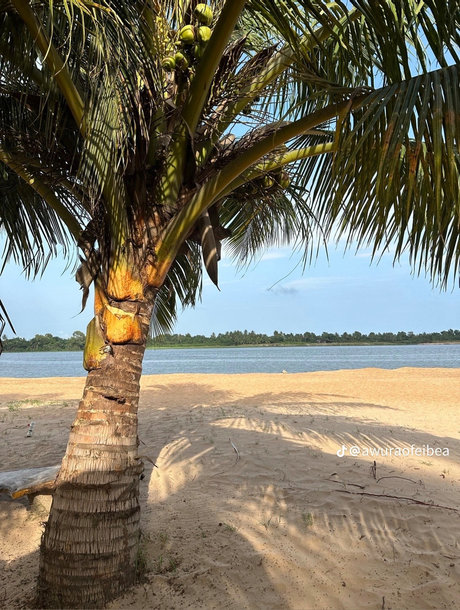 Q Ree star porn picture