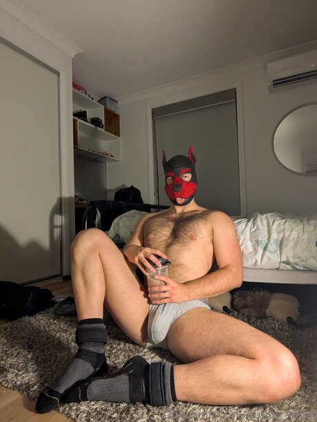 Pup Benji model exclusive gallery