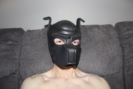 Bentley_ adult actress images