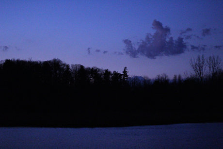 Bentley_ star nice images