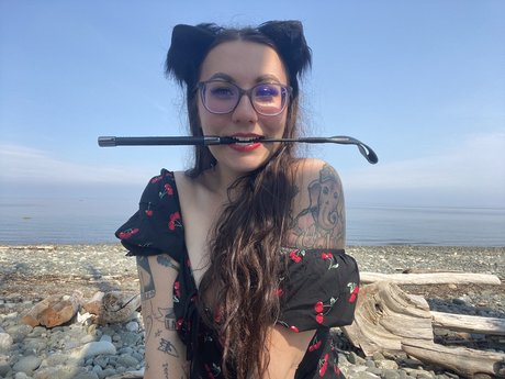 k i t t e n_ star hot archive