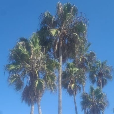 caught masturbating onlyfans erotic galleries